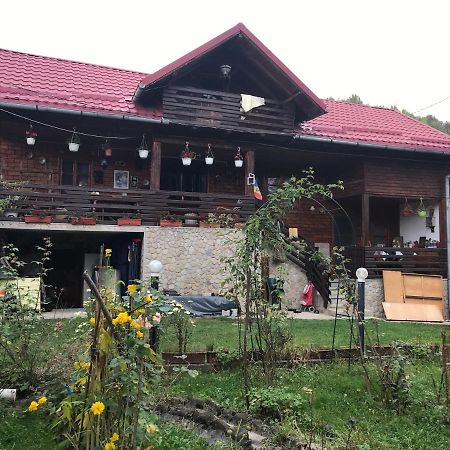 Hotel Cabana Trei Brazi Dambovita Bezdead Exterior foto