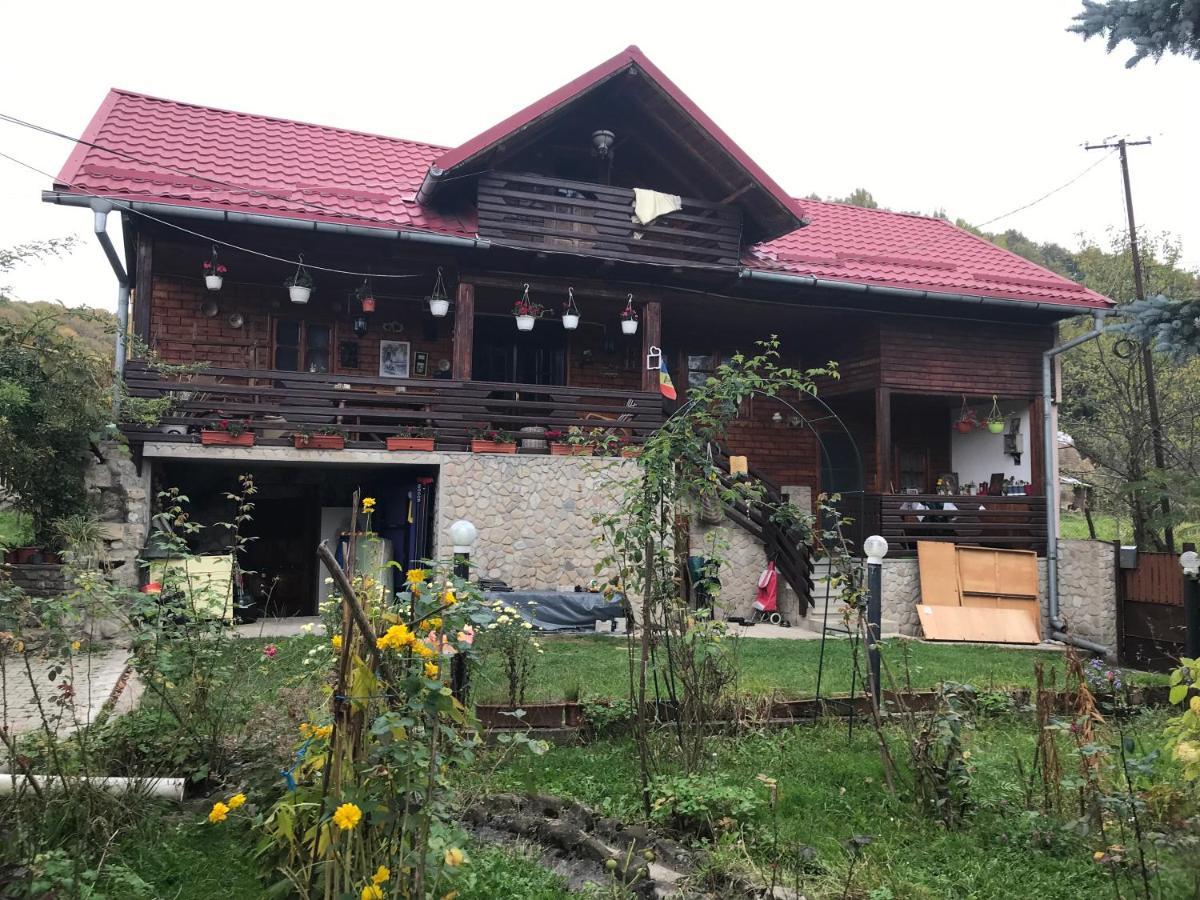 Hotel Cabana Trei Brazi Dambovita Bezdead Exterior foto