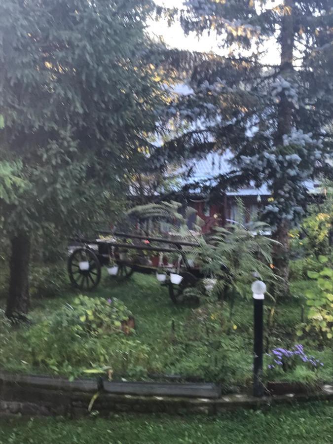 Hotel Cabana Trei Brazi Dambovita Bezdead Exterior foto